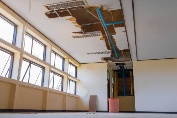 Best 24-hour water damage restoration  in Coolidge, AZ