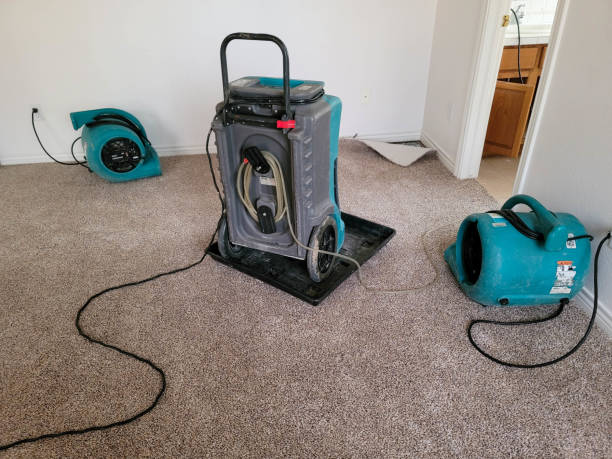 Best Water damage restoration near me  in Coolidge, AZ