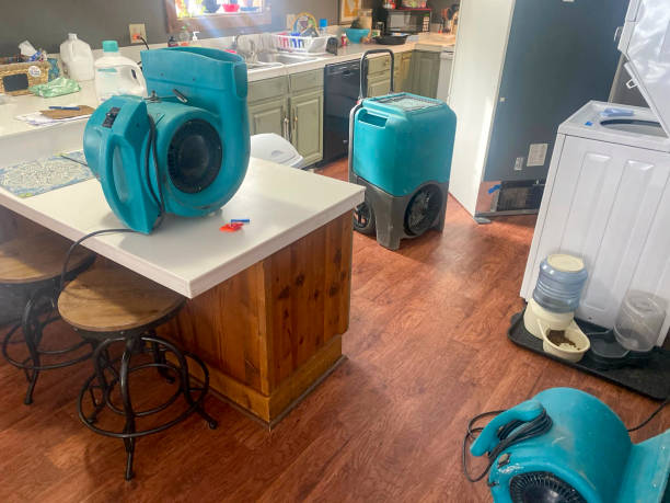 Best Ceiling water damage repair  in Coolidge, AZ