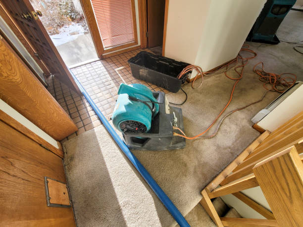 Best Ceiling water damage repair  in Coolidge, AZ