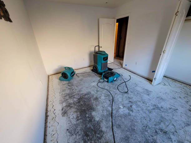 Best Mold removal after water damage  in Coolidge, AZ