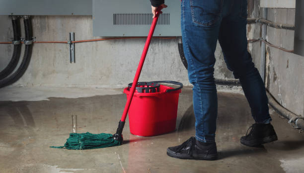 Best Fire Damage Restoration  in Coolidge, AZ