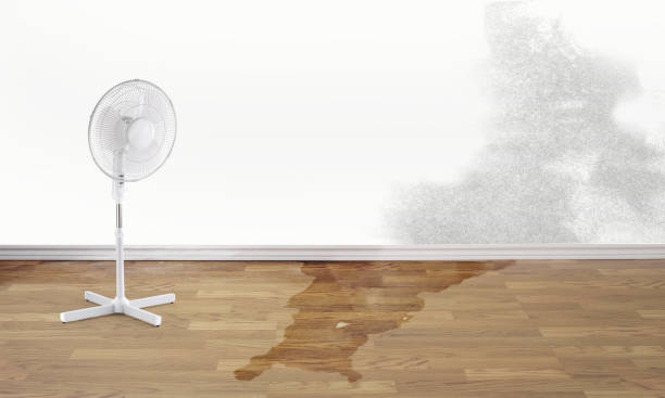 Best Water damage restoration cost  in Coolidge, AZ