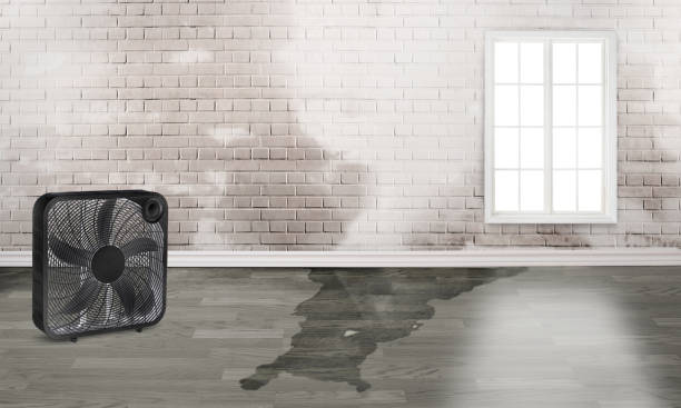 Reliable Coolidge, AZ Water damage restoration Solutions