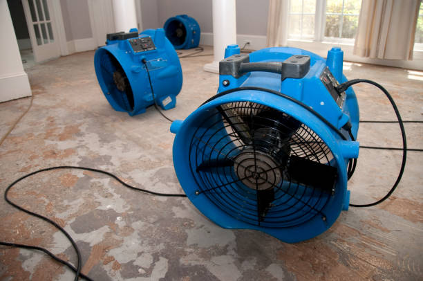 Best Professional water damage repair  in Coolidge, AZ