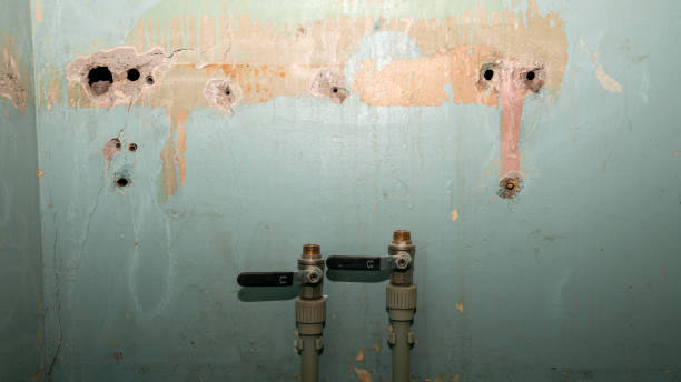 Best Local water damage restoration  in Coolidge, AZ