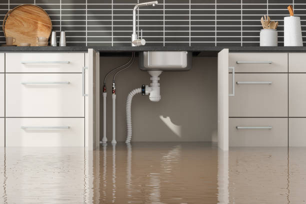 Best Water damage restoration services  in Coolidge, AZ