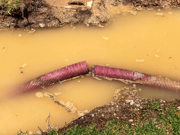 Best Water damage restoration process  in Coolidge, AZ