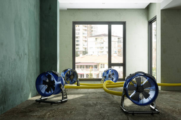 Best Residential water damage restoration  in Coolidge, AZ