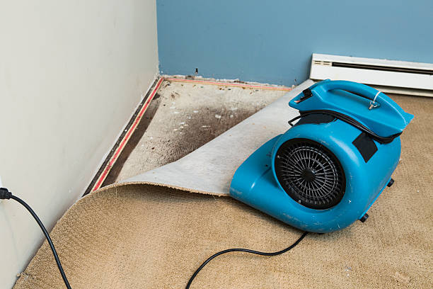 Best Water damage cleanup near me  in Coolidge, AZ
